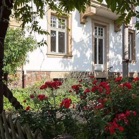 Altes Rathaus 4* روديسهايم ام رين